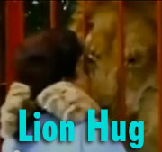Lion Hugs Rescuer